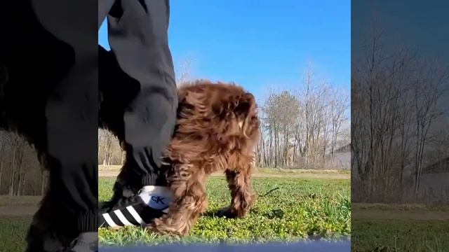 Мастер-класс 