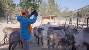 Блиппи идет в поход Изучай этот мир вместе с Блиппи Обучающие видео для детей Blippi Russian