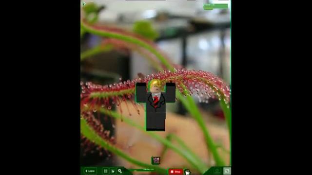 Green Screen ROBLOX Test смотреть онлайн