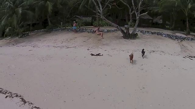 ВЛОГ♥ПАЛАВАН#2: мечты сбываются смотреть онлайн