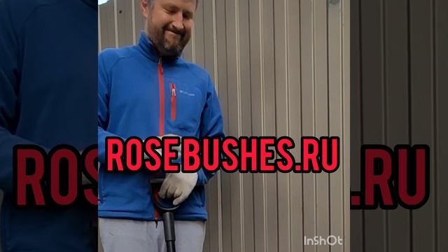 Личное Подсобное Хозяйство Саженцев РОЗ RoseBushes.ru смотреть онлайн
