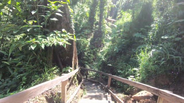 Emerald Pool Waterfall in Dominica - Celebrity Summit 2019 [Ep. 25] смотреть онлайн