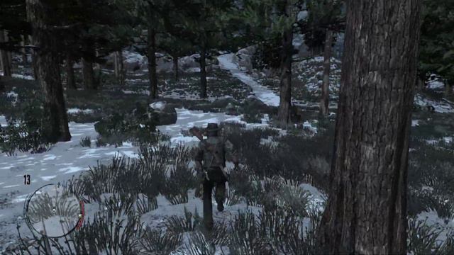 Локация для охоты на бобров в Red Dead Redemption (1)