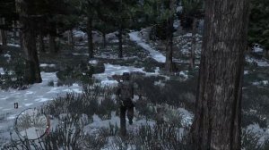 Локация для охоты на бобров в Red Dead Redemption (1)