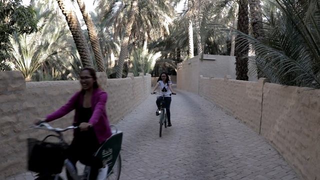 Al Ain Oasis, Largest Oasis in Al Ain, Abu Dhabi, UAE (ٱلْعَيْن) смотреть онлайн