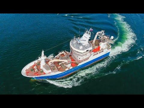 П55. Топливо, ЖКХ, мигранты и ситуация на границах смотреть онлайн