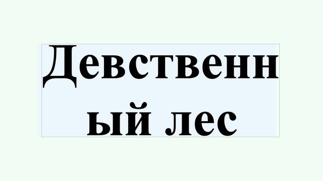Девственный лес смотреть онлайн