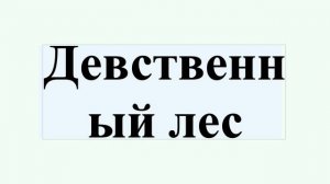 Девственный лес