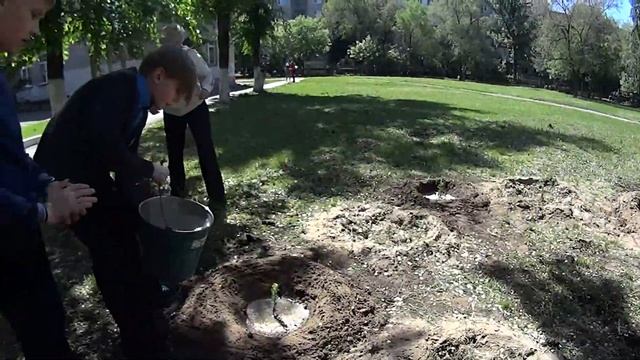 "Подари Земле Дерево" 24.05.2017 Ученики 5 "А" класса школы №9 6 смотреть онлайн