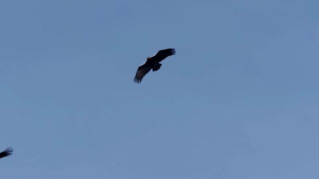 30 САМЫХ КРАСИВЫХ МЕСТ В #ИСПАНИИ, КОТОРЫЕ СТОИТ ПОСЕТИТЬ ХОТЯ БЫ РАЗ В ЖИЗНИ, #ЕВРОПА (Часть #2) смотреть онлайн