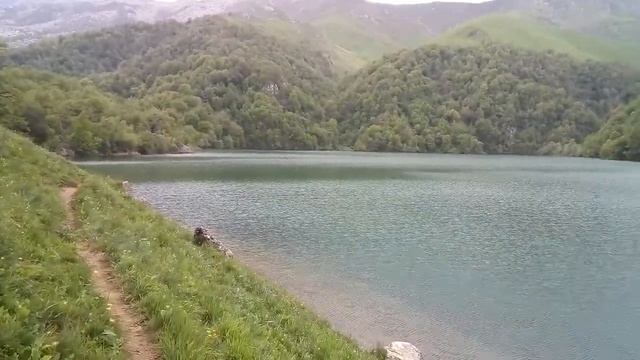 Maral göldə Talış ayısı / Талышский Медведь в озере Марал / Talish Bear in a Deer Lake смотреть онлайн