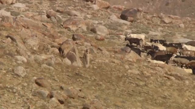 Памир. Край загадок - Часть 3. Горцы - Документальный фильм смотреть онлайн