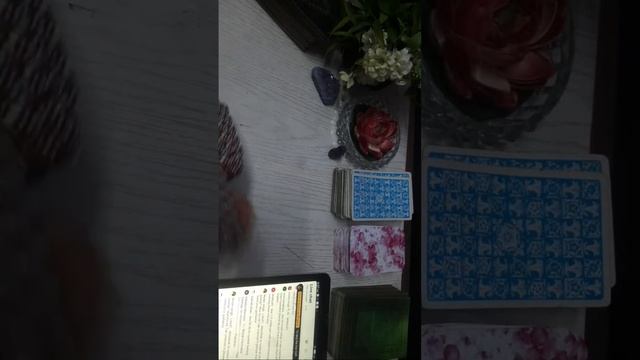 Tarot & Oracle by Bhawna is live смотреть онлайн