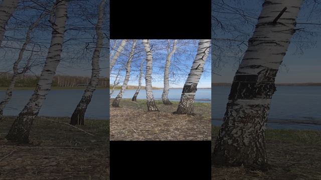 Красота Алтайского края 😺 смотреть онлайн