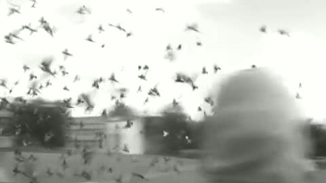 ТСЛ-сюита, ч.3b/The Lavra Suite, Mov.3b