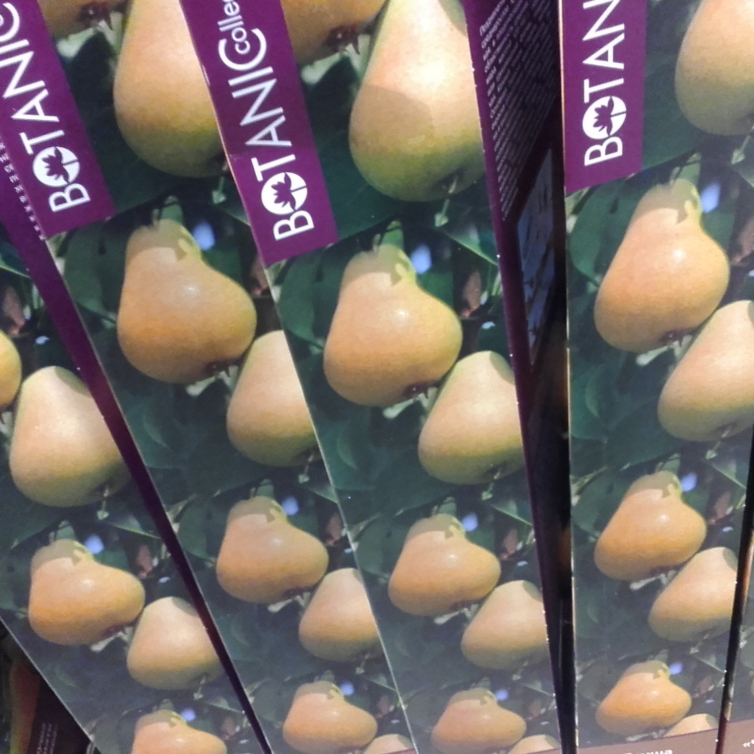 ПРИШЛО ВРЕМЯ ПОКУПАТЬ САЖЕНЦЫ И СЕМЕНА В ОБИ!!! смотреть онлайн