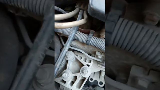 Fiat linea смотреть онлайн
