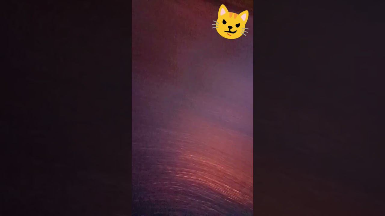 13 ноября 2023 г. смотреть онлайн