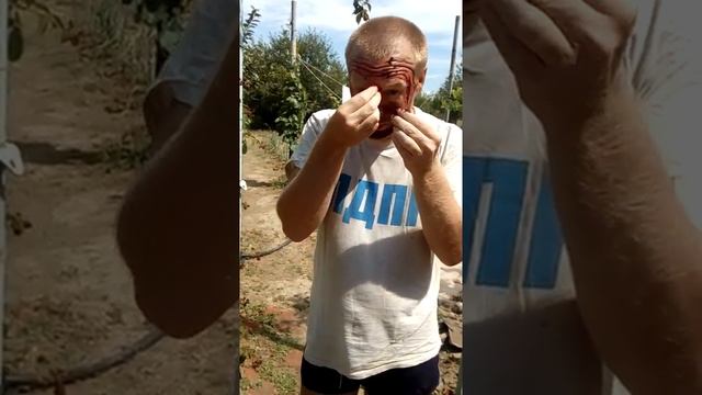 на даче у нас урожай ежевики ! как сделать маску из ежевики на лице на 5 минут 16 07 2018 смотреть онлайн