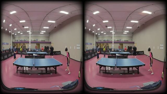 VR 180 3D Table Tennis Champion Kevin Nguyen Warmup at Paddle Palace PDX смотреть онлайн