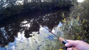 спиннинг Zemex Aurora 662UL (обзор с колес #33)