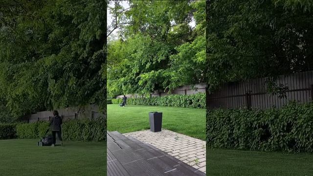 Покос газона, засекаем время? смотреть онлайн