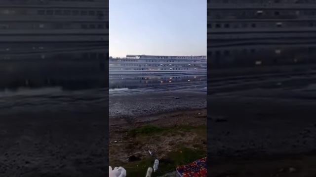 Трудолюбивые иностранные специалисты отдыхают на берегу реки)) смотреть онлайн