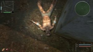 ОП 2.2 "ОСТРОВА" БОНУСНЫЙ ТАЙНИК НА ЧАЭС 2 И + БОНУСНЫЙ ТАЙНИК ОТ СОЗДАТЕЛЕЙ ОП 2 .