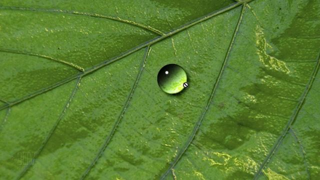 Photoshop: How to Create Realistic WATERDROPS! смотреть онлайн