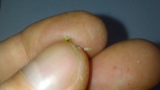 Резисторы СП3-44 и микросборки с аппаратуры видеонаблюдения смотреть онлайн