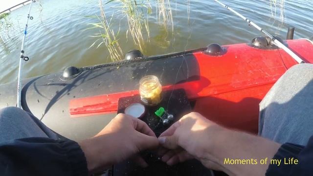 Карась и сазан на кукурузу, облепиху, рябину.....лучшая рыбалка часть 1-я