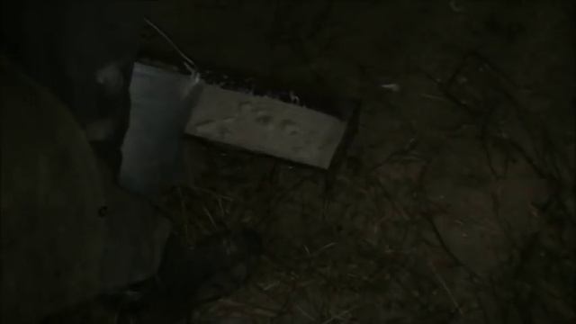 ПРИВЕЗЛИ ПОРОСЯТ смотреть онлайн