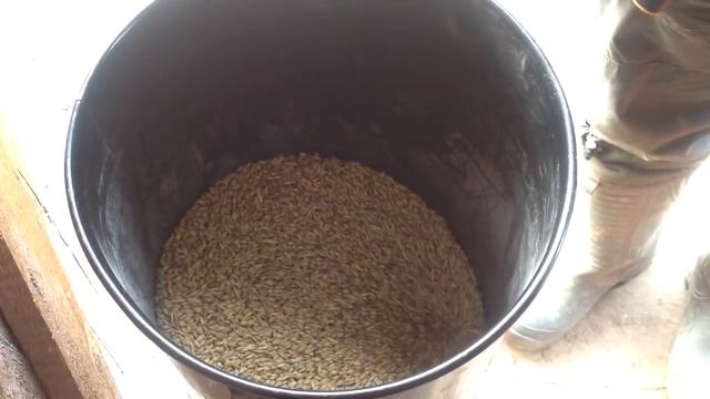 Зернодробилка смотреть онлайн