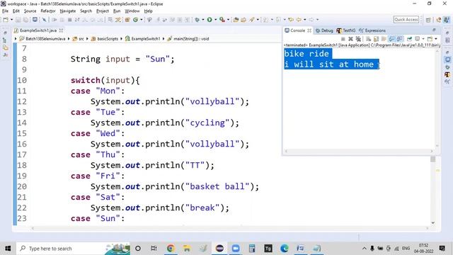 Switch with examples || Java Tutorial for Beginners in Telugu смотреть онлайн