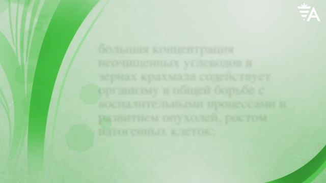 О картофеле с Алексеем Мелешиным. Полезные свойства смотреть онлайн