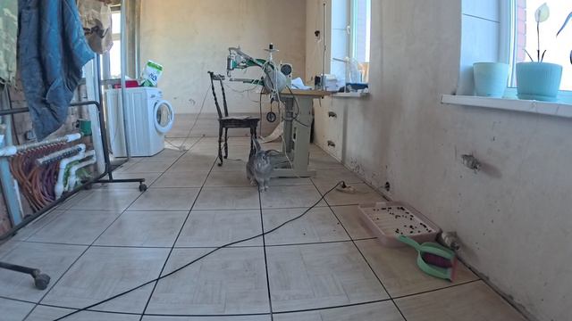 Создание гнезда смотреть онлайн