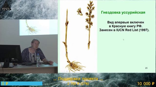Лекция "Редкие и охраняемые растения" курса "Ботанические заметки: полезные и опасные" смотреть онлайн