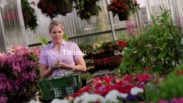 IU Health Goshen Heart & Vascular - "Strength in Numbers" смотреть онлайн