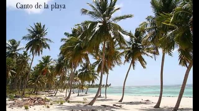 Saona y canto de la playa смотреть онлайн