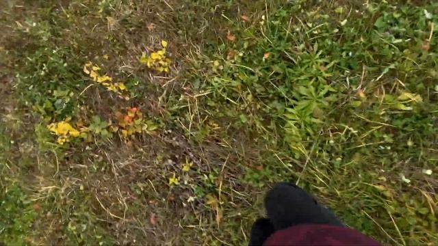 ВЛОГ: ИСПОЛНИЛ МЕЧТУ ДЕДА, ПРИЕХАЛИ НА МАШИНЕ НА КЛАДБИЩЕ. смотреть онлайн