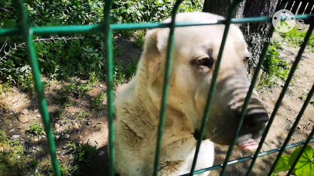 Такая я огородница. Нужен ли нам трактор? смотреть онлайн