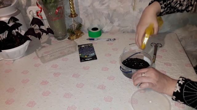 КРАСАВИЦА ЛОБЕЛИЯ! ПРОСТОЙ СПОСОБ ПОСЕВА СЕМЯН. ВЫРАЩИВАНИЕ РАССАДЫ. часть 1 смотреть онлайн