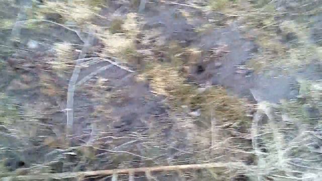 Роза смотреть онлайн