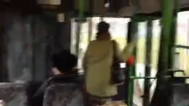 Budapest Bus 3 смотреть онлайн