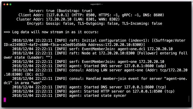 Getting Started with Consul: Running a Consul Cluster смотреть онлайн