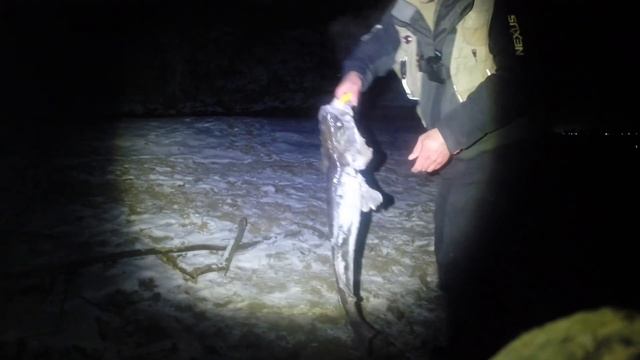 НОЧНАЯ ЛОВЛЯ СУДАКА НА ВОБЛЕРЫ! Москва река, ЗИМНИЙ СПИННИНГ!!! СУДАК на 4кг зимой!!! ЧУЛКОВО смотреть онлайн