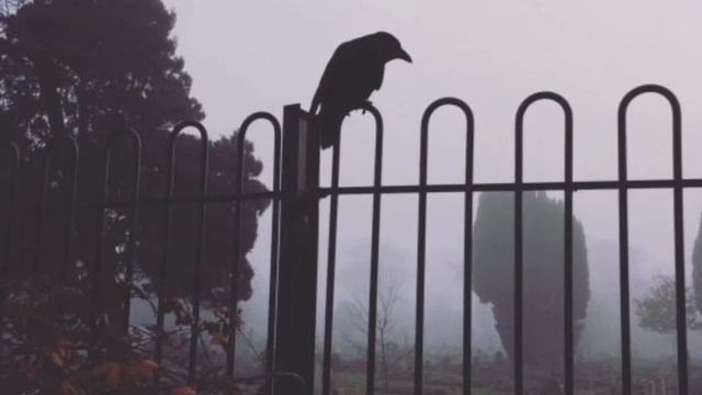 Ангелина в стране страданий. 1 смотреть онлайн