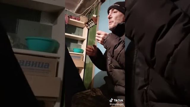 Верный Друг!??? смотреть онлайн