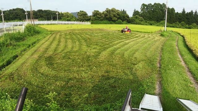 おっさんが草刈りしているだけの動画11(Anamorphic 2724x1152　60fps)　#家族のまさお #CMX2506 #ボランティア活動 смотреть онлайн