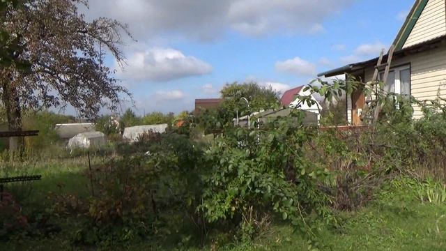 №390. Причинно-следственные связи//Квест 7 Добраться до вышивки смотреть онлайн